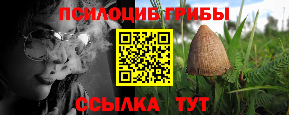 Галлюциногенные грибы GOLDEN TEACHER Менделеевск
